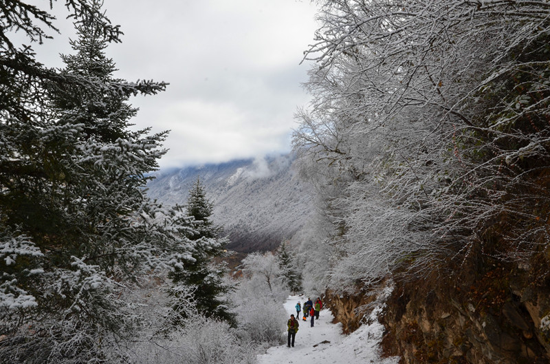 dsc_5132_.jpg