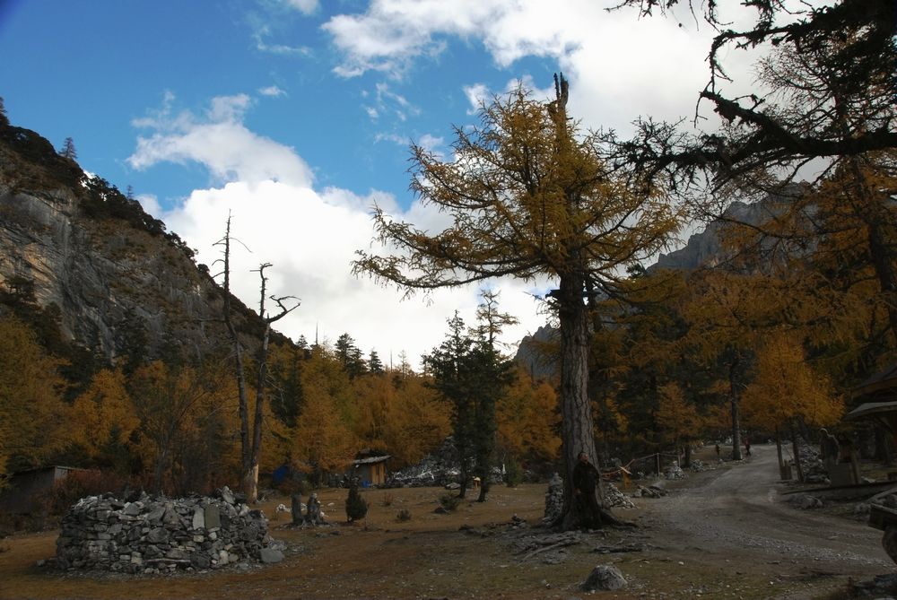 dsc_0347.jpg