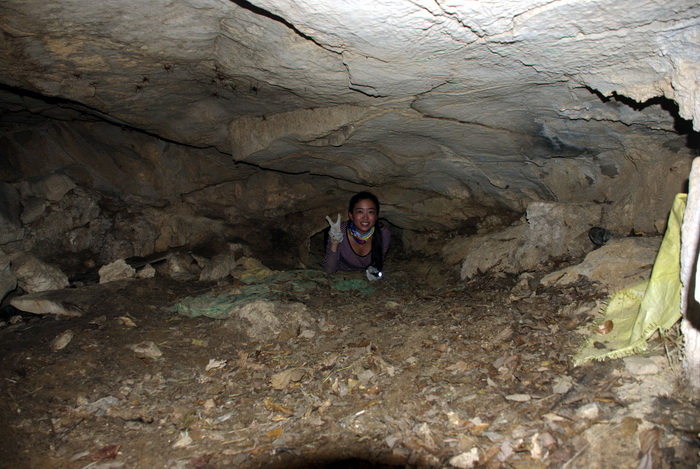 dsc_0337.jpg