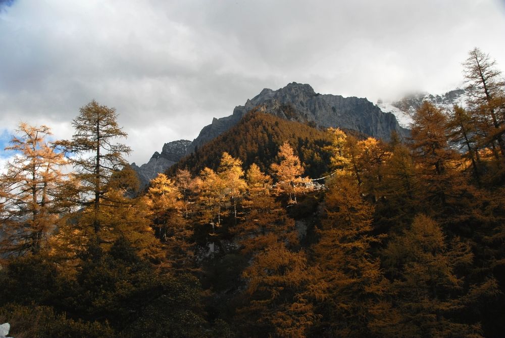 dsc_0354.jpg