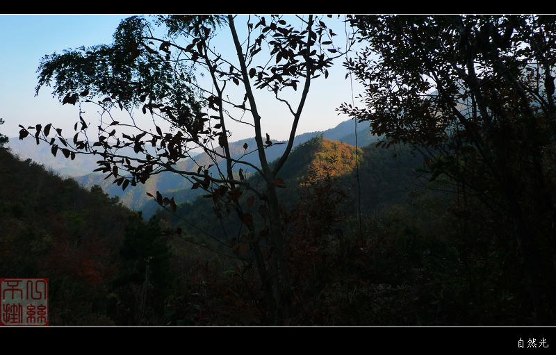 l1390424.jpg