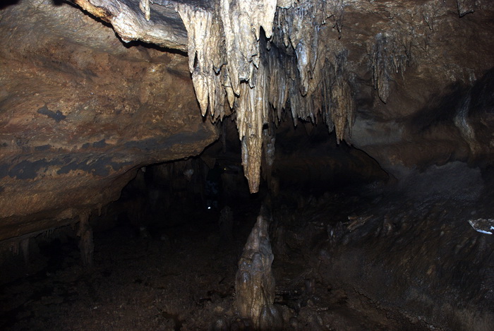 dsc_0352.jpg