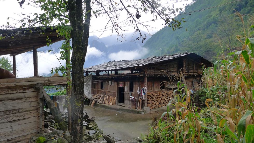 p1010467.jpg