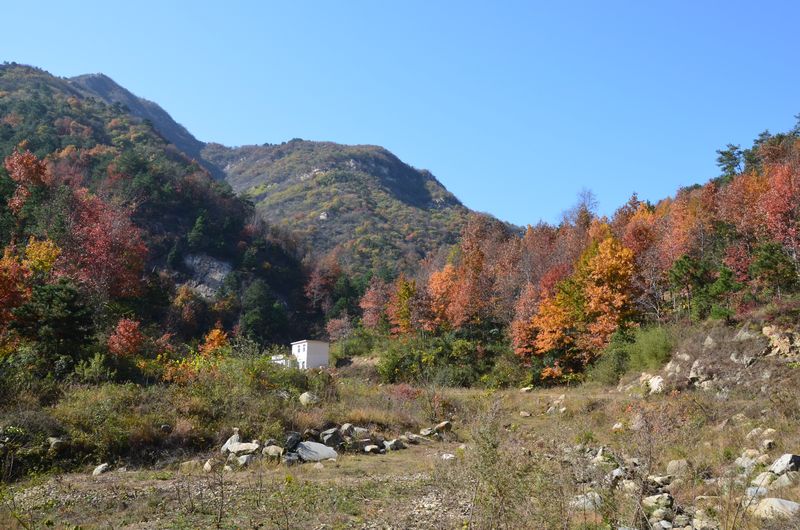 dsc_0495a.jpg