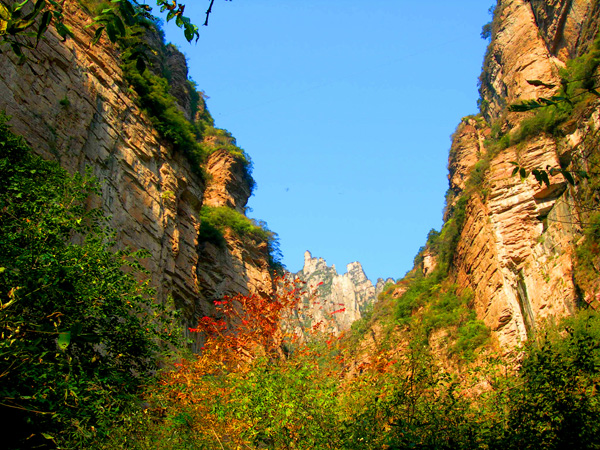 dscn8269.jpg
