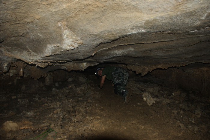 dsc_0354.jpg
