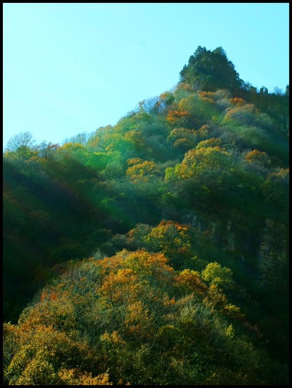conew_dsc06370_conew1.jpg