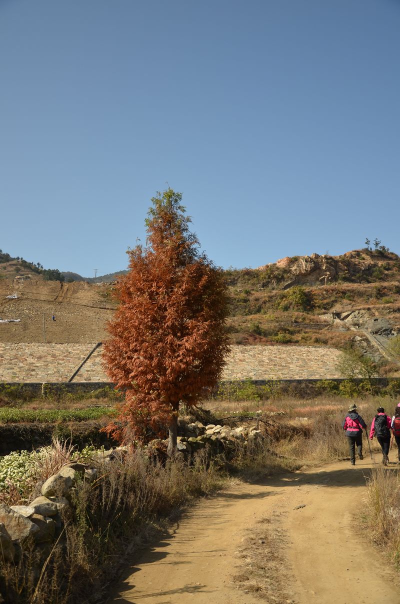 dsc_0480ba.jpg