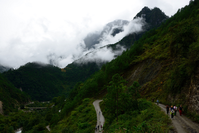 dsc_2383-0.jpg