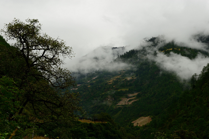 dsc_2384-0.jpg