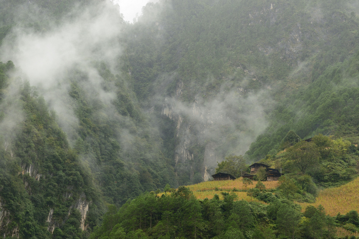 dsc_2494-0.jpg