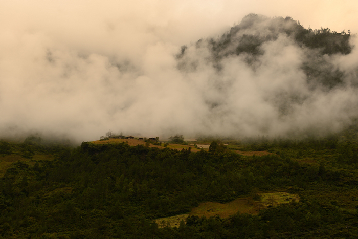 dsc_2505-0.jpg