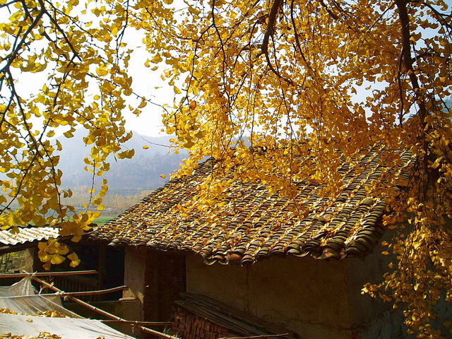 p1012234.jpg