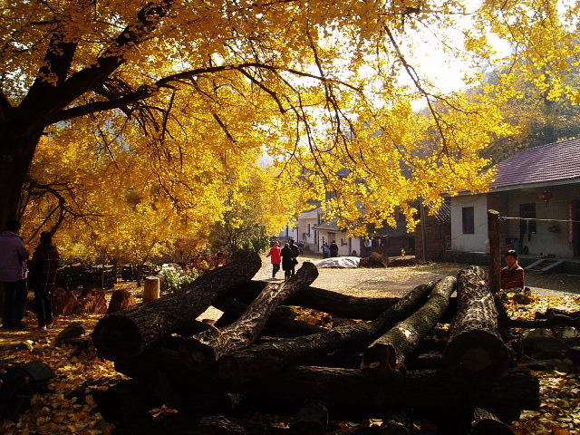 p1012306.jpg