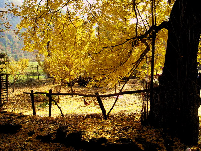 p1012310.jpg
