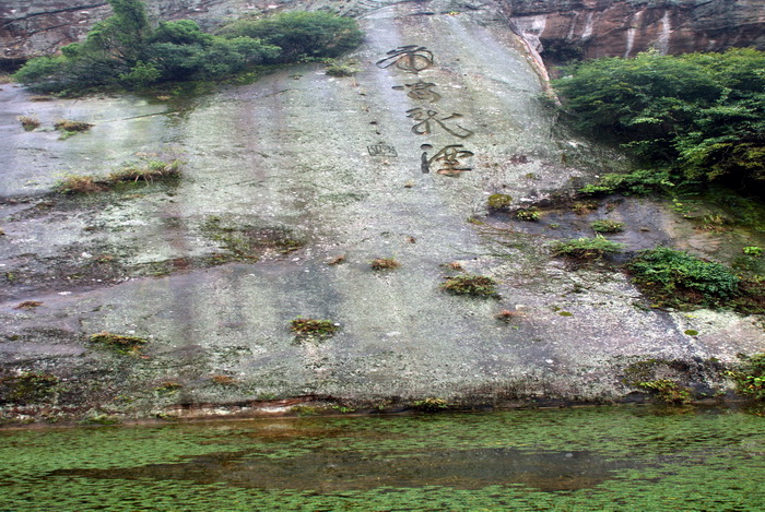 dsc_0448.jpg