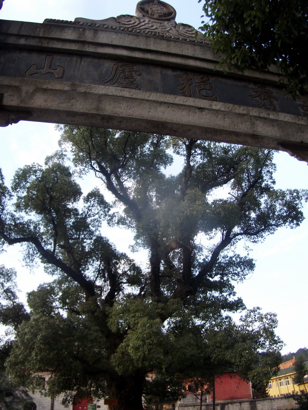 dscf0094.jpg