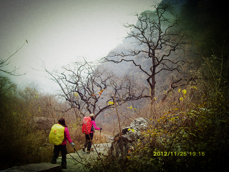sdc10120_.jpg