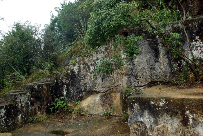 dsc_0482.jpg