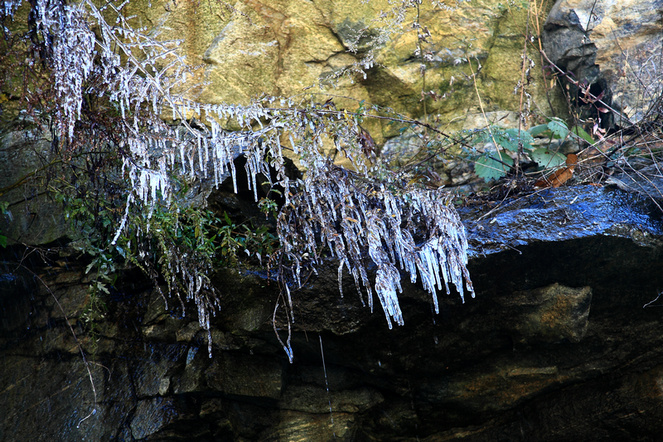 img_8362.jpg