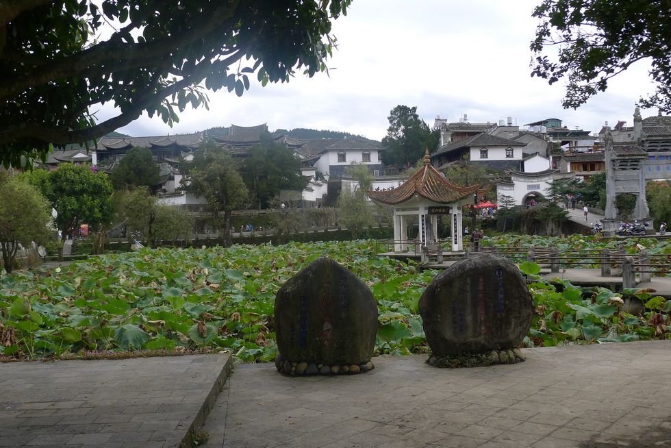 p1010631.jpg