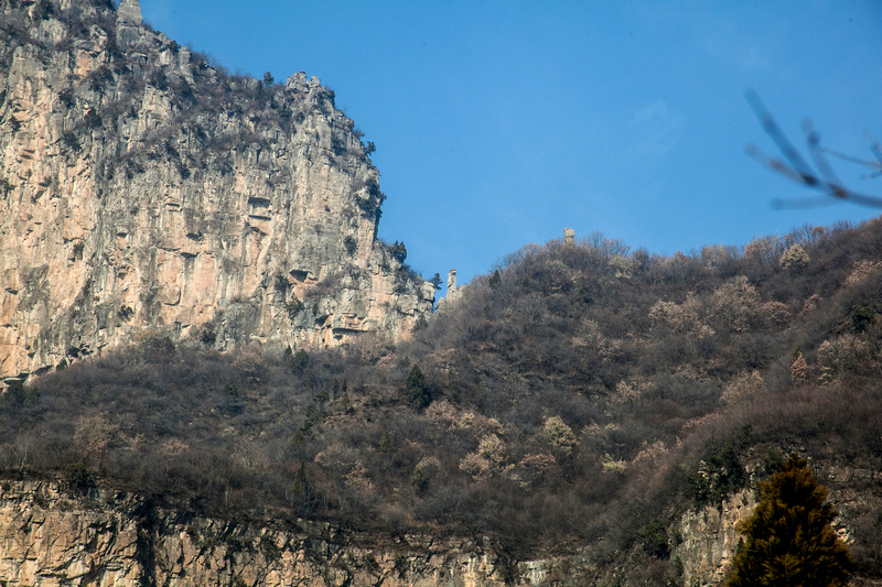 img_8474.jpg
