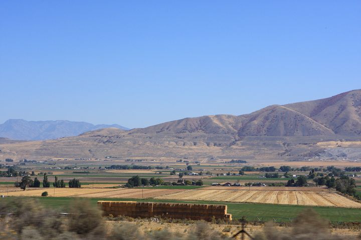 img_6588.jpg