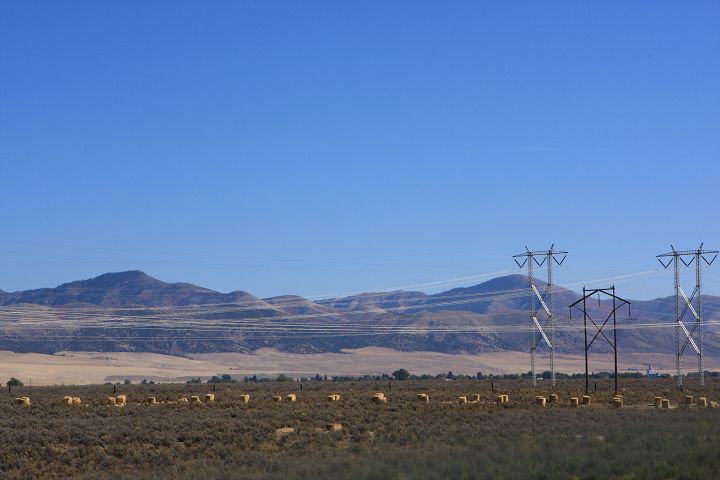 img_6597.jpg