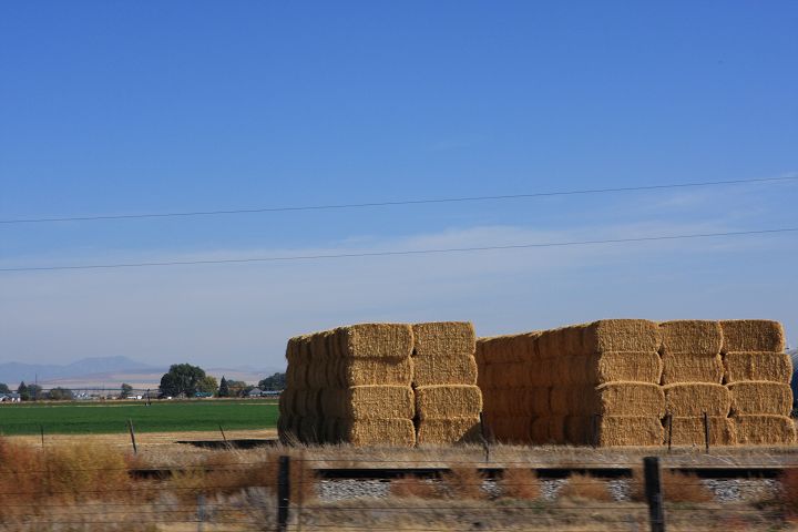 img_6604.jpg