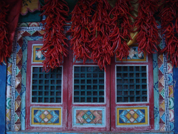 dsc09823.jpg
