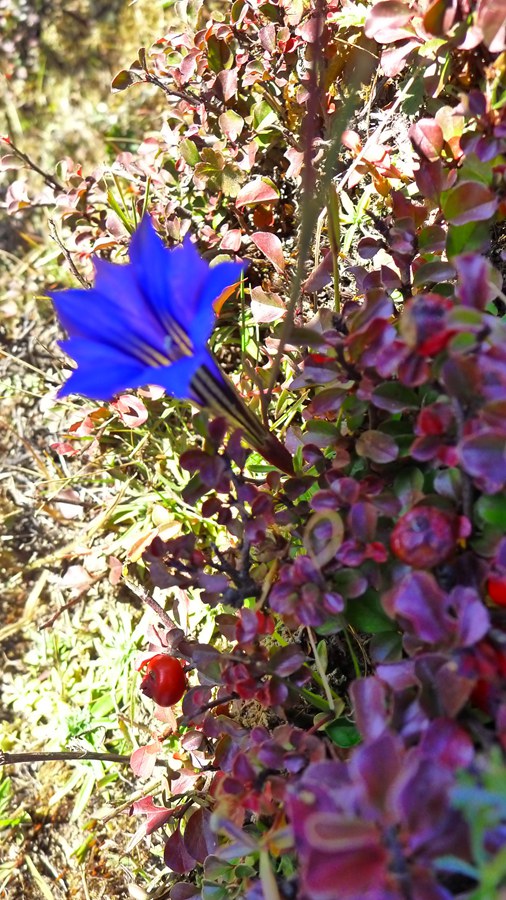 p1030174_.jpg