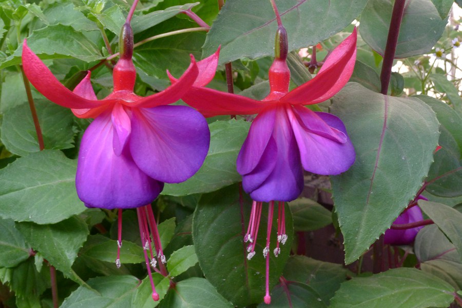 p1030344_.jpg
