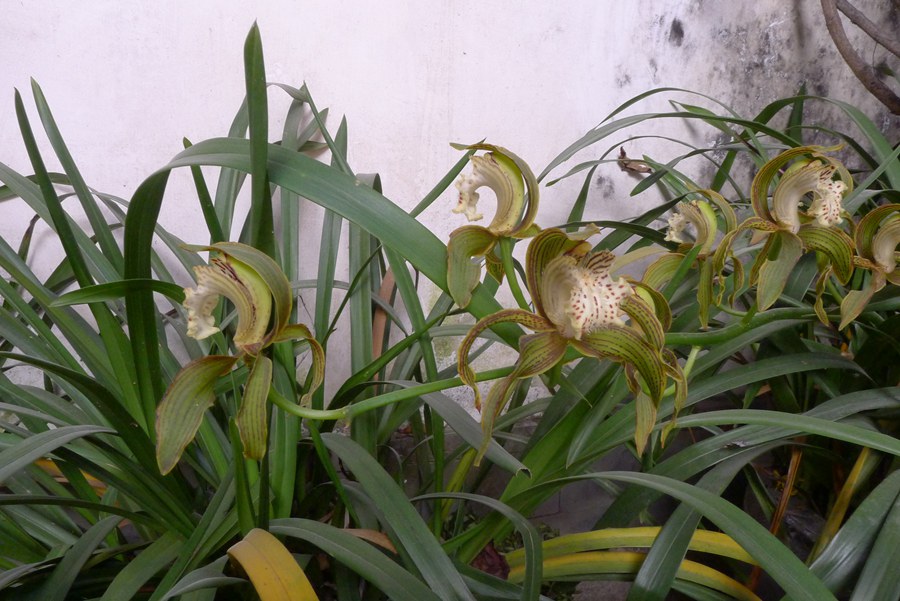 p1030982_.jpg