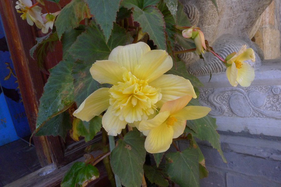 p1030984_.jpg
