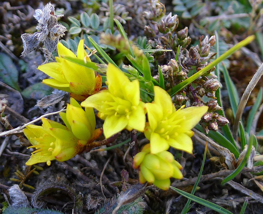 p1020850_.jpg