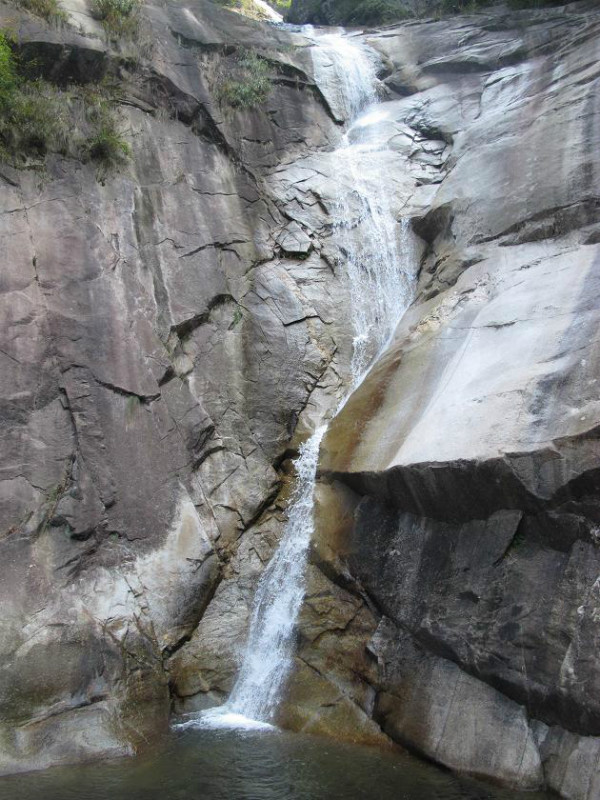 psbcawvwv71.jpg