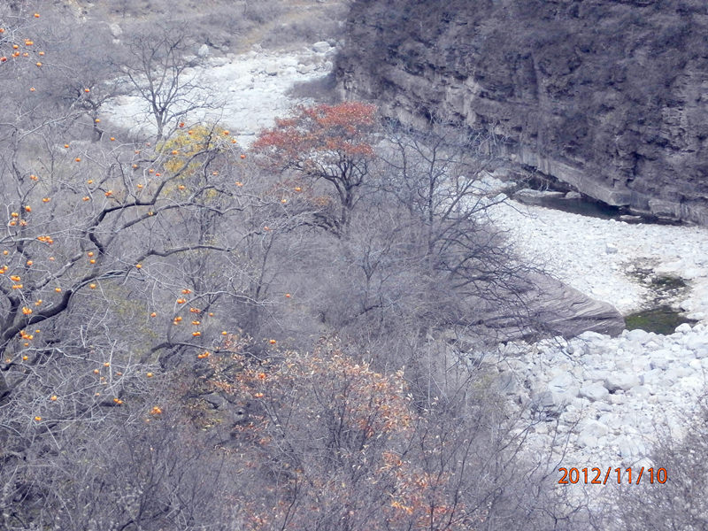 pb100276_.jpg