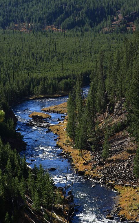 img_6707.jpg