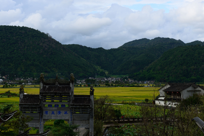 dsc_2783-0-1.jpg