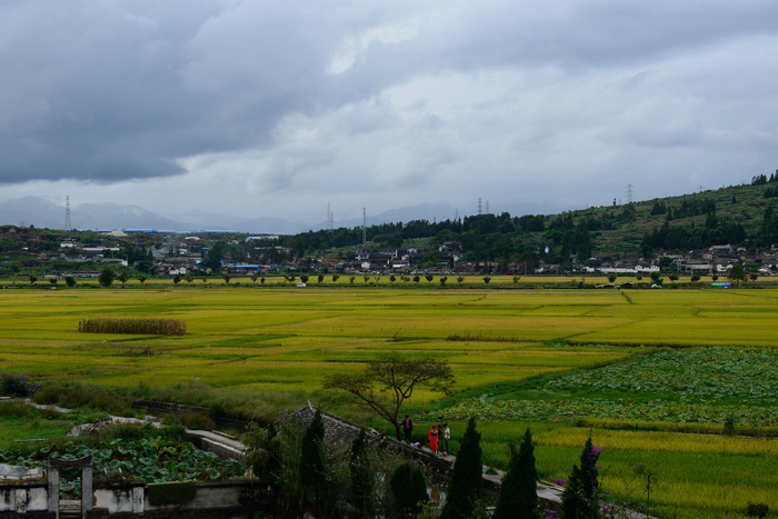 dsc_2787-0-1.jpg