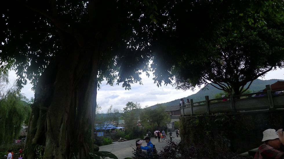 p1010720.jpg