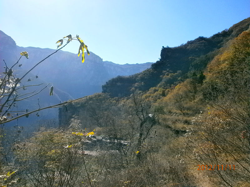 pb110325_.jpg
