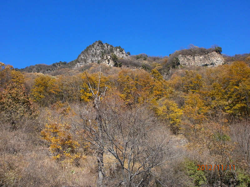 pb110336_.jpg