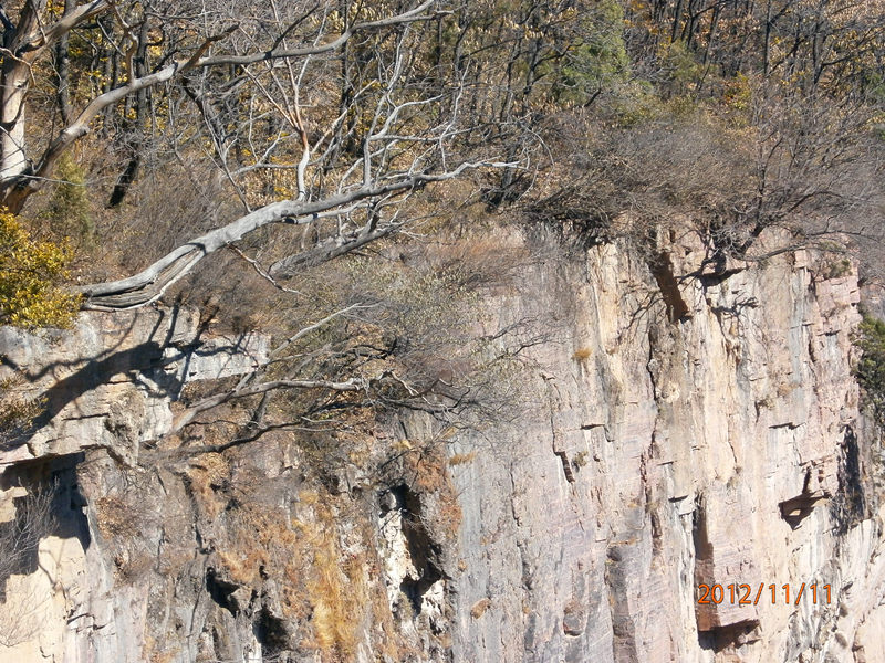 pb110338_.jpg