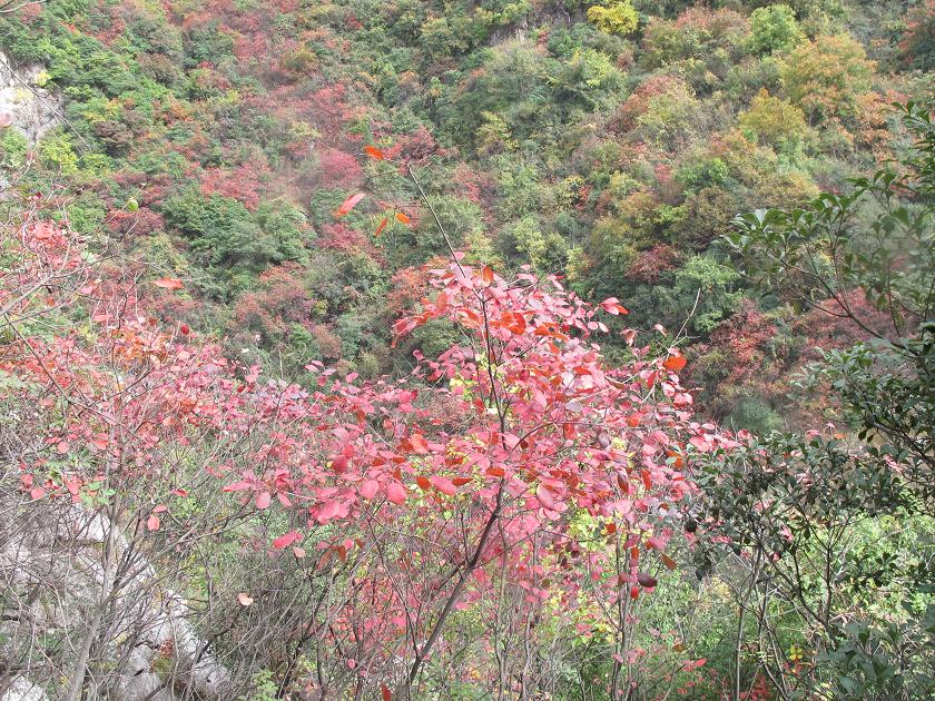 img_1937.jpg