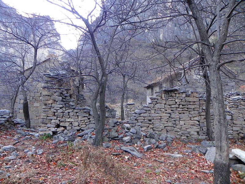dscn2586_.jpg