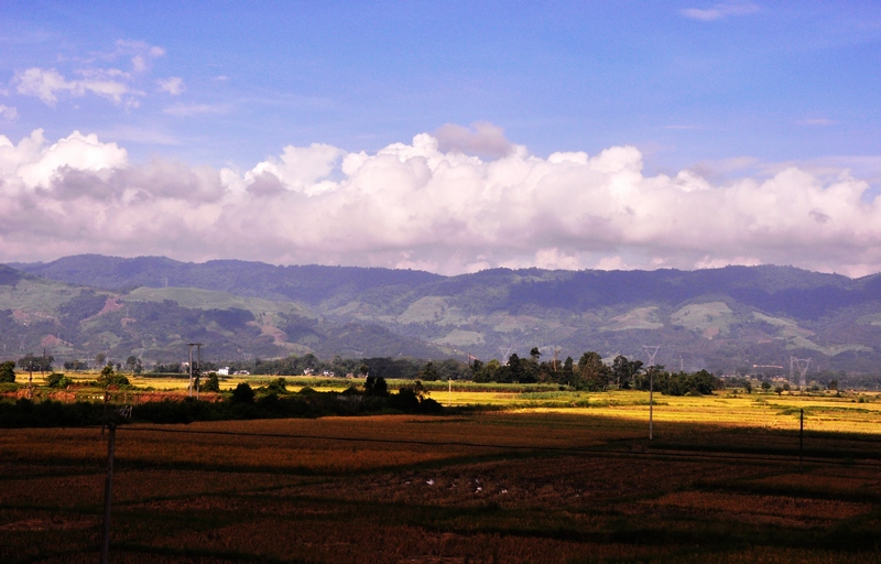 dsc_0905-7.jpg