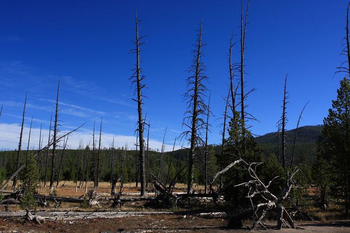 img_6719.jpg