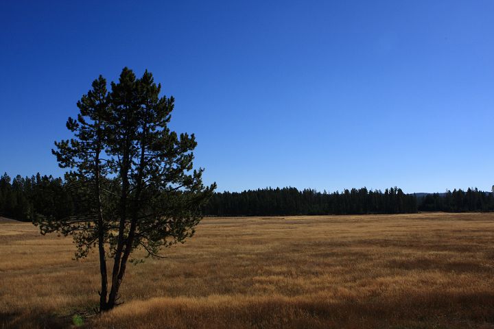 img_6721.jpg
