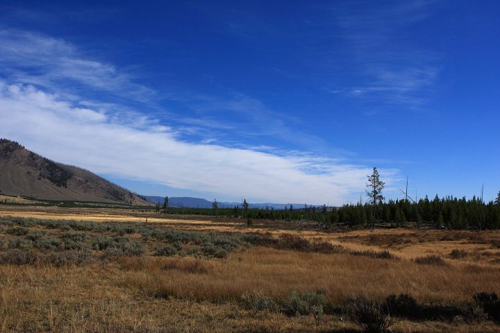 img_6726.jpg